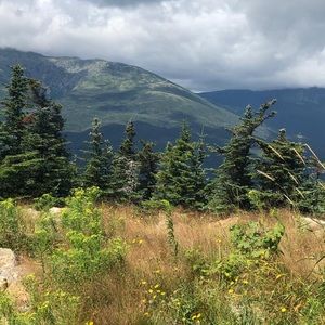 Meet your Posher, Xaria